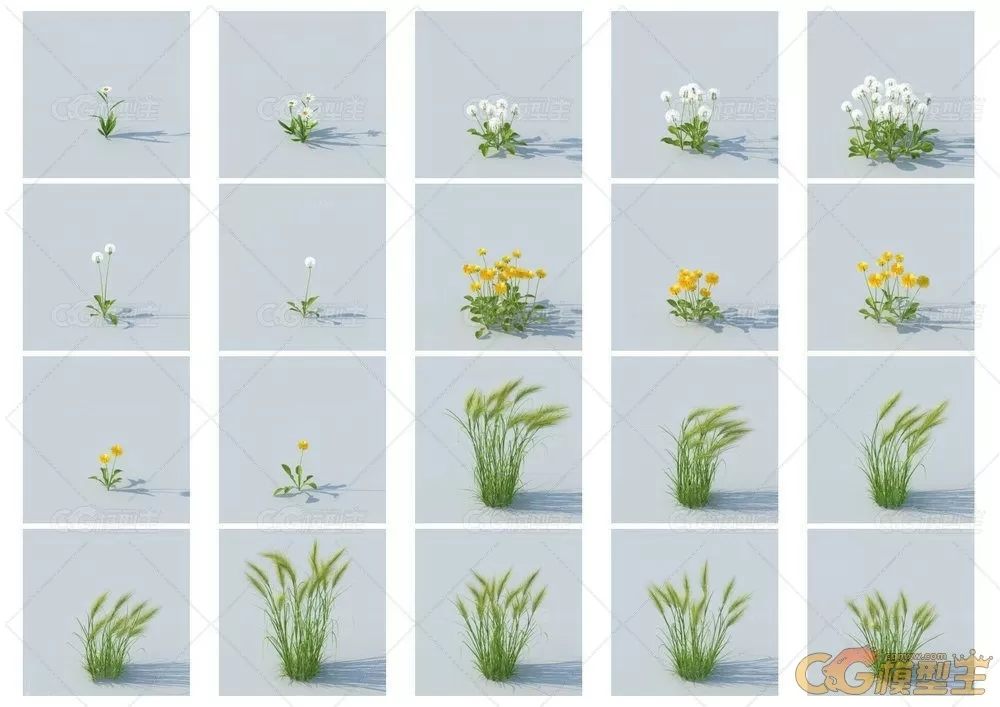 HQ Grass vol.1 for Cinema4D植物3D模型的合集-9