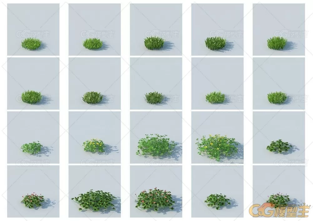 HQ Grass vol.1 for Cinema4D植物3D模型的合集-8