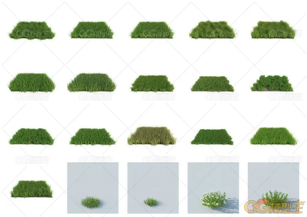 HQ Grass vol.1 for Cinema4D植物3D模型的合集-7