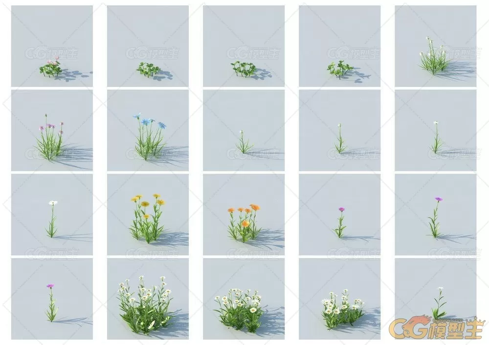 HQ Grass vol.1 for Cinema4D植物3D模型的合集-10