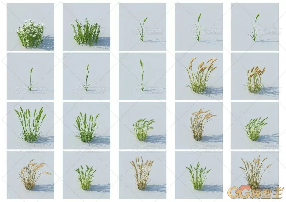 HQ Grass vol.1 for Cinema4D植物3D模型的合集-11