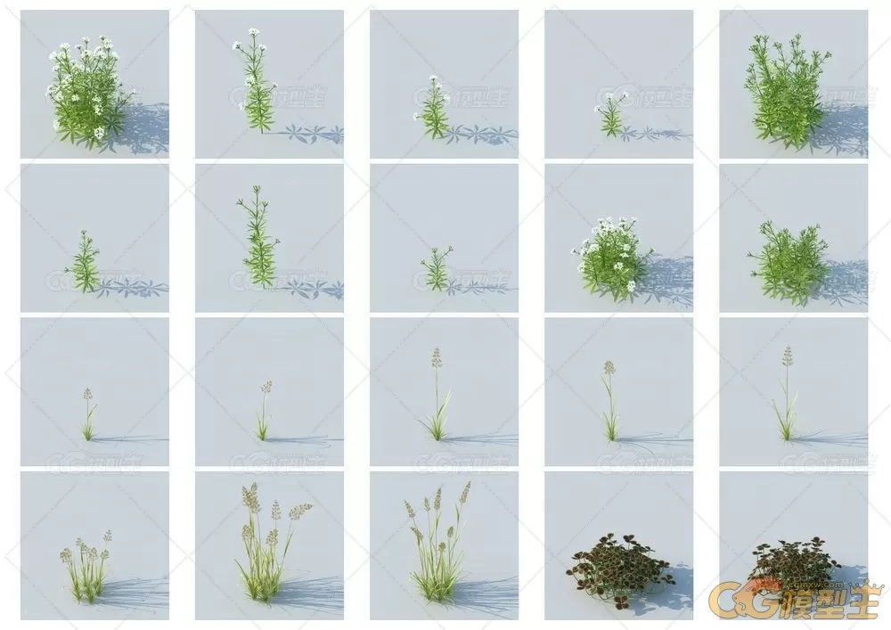 HQ Grass vol.1 for Cinema4D植物3D模型的合集-12