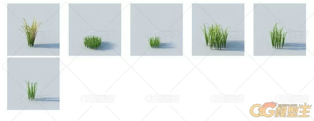 HQ Grass vol.1 for Cinema4D植物3D模型的合集-13