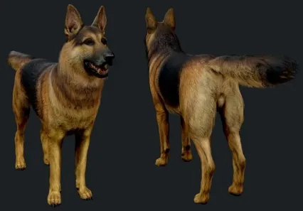 次世代PBR低模家养狗 dog 温顺的狗 写实警犬 狼狗 导盲狗 导盲犬 救生犬 狗 大狗