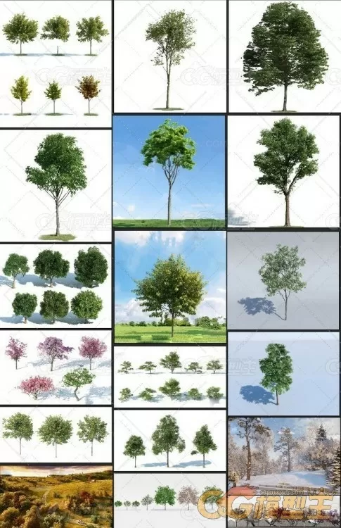 33套高精细园林景观3d植物模型库-3