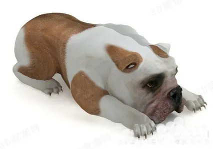 恶犬
