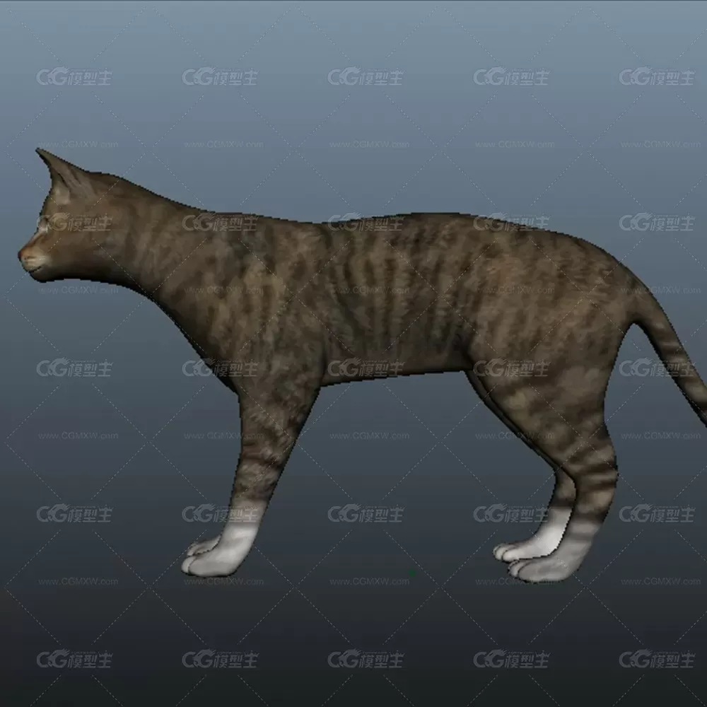 一只猫咪3D模型-1