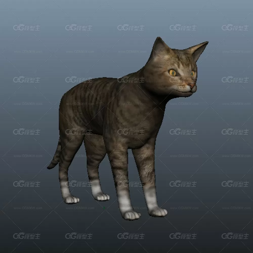 一只猫咪3D模型-2