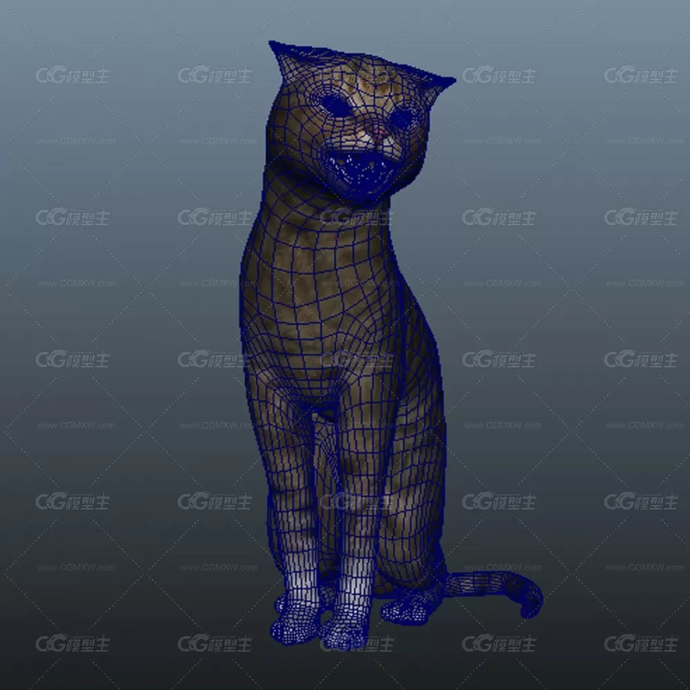 一只猫咪3D模型-5