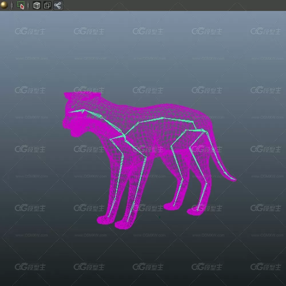 一只猫咪3D模型-6