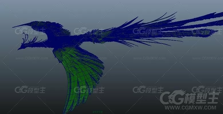 凤凰maya模型-1