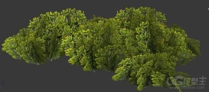 游戏植物模型