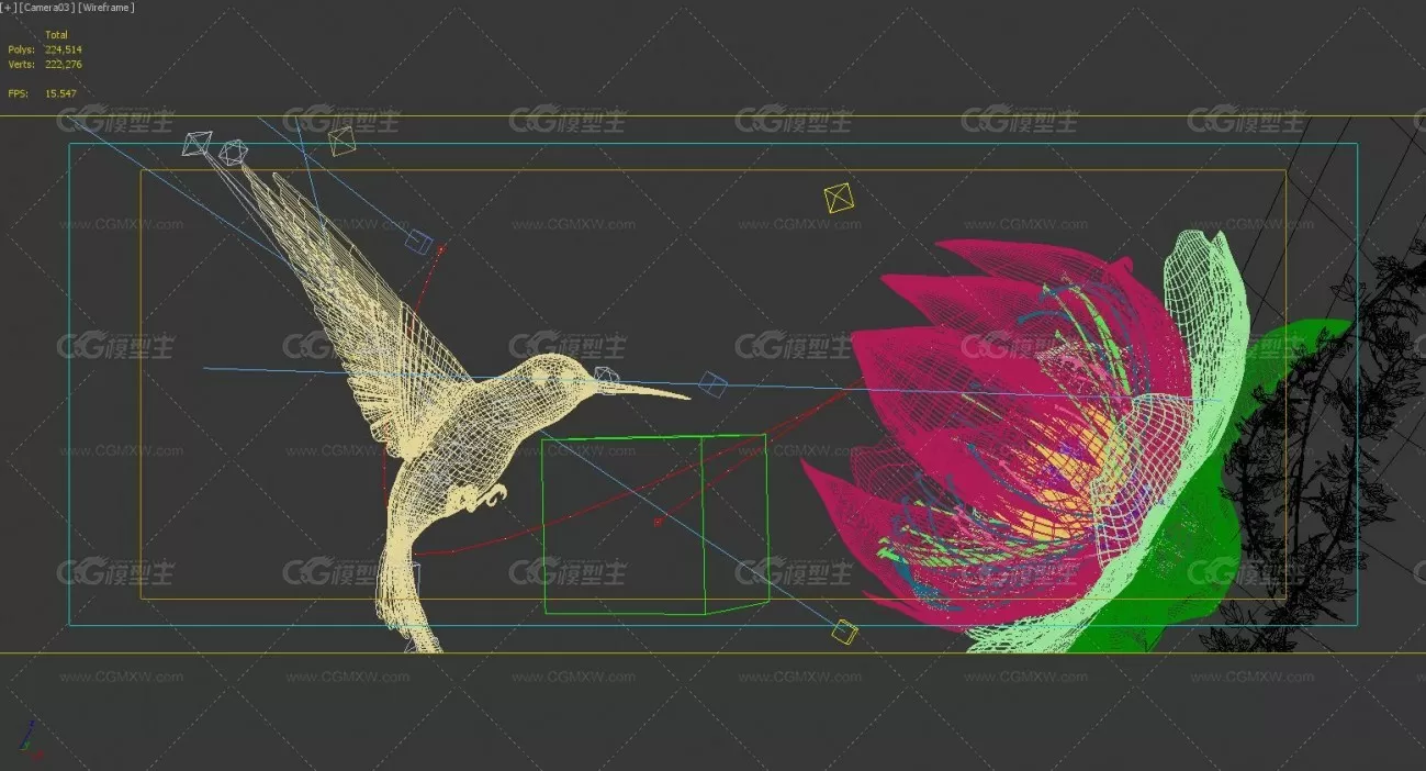 蜂鸟 莲花开花 雪莲开花 蜂鸟飞行 森林生态飞鸟 栀子花 白莲花 花开动画 鸟语花香-7