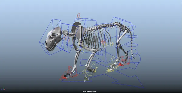 MAYA 院线级狮子 带骨骼 带动画-4