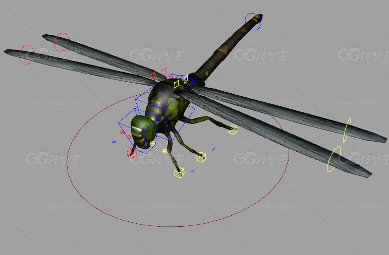 蜻蜓模型 有绑定和动画-1