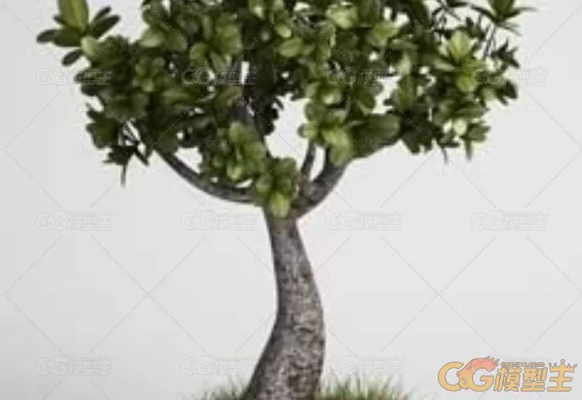 20款高品质植物C4D/3D模型-2