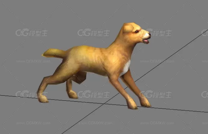 一只家养犬 土狗模型 带绑定动作-3