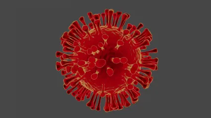 Corona Virus 新冠状病毒3D模型