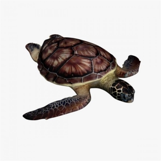 Sea Turtle V1 3D模型