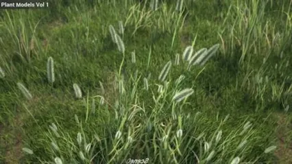 草地植物3D模型 Maxtree – Plant Models Vol.1
