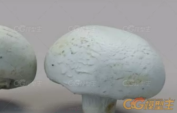 饺子木薯切片南瓜土豆炸鸡麦片甜麦圈蘑菇西葫芦C4D模型-3