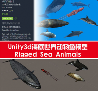 Unity3d海底世界动物鱼模型Rigged Sea Animals