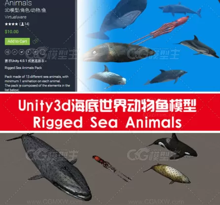 Unity3d海底世界动物鱼模型Rigged Sea Animals-1