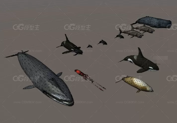 Unity3d海底世界动物鱼模型Rigged Sea Animals-2