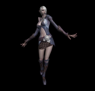 魔幻风带全套动作的女法师3DMax模型。