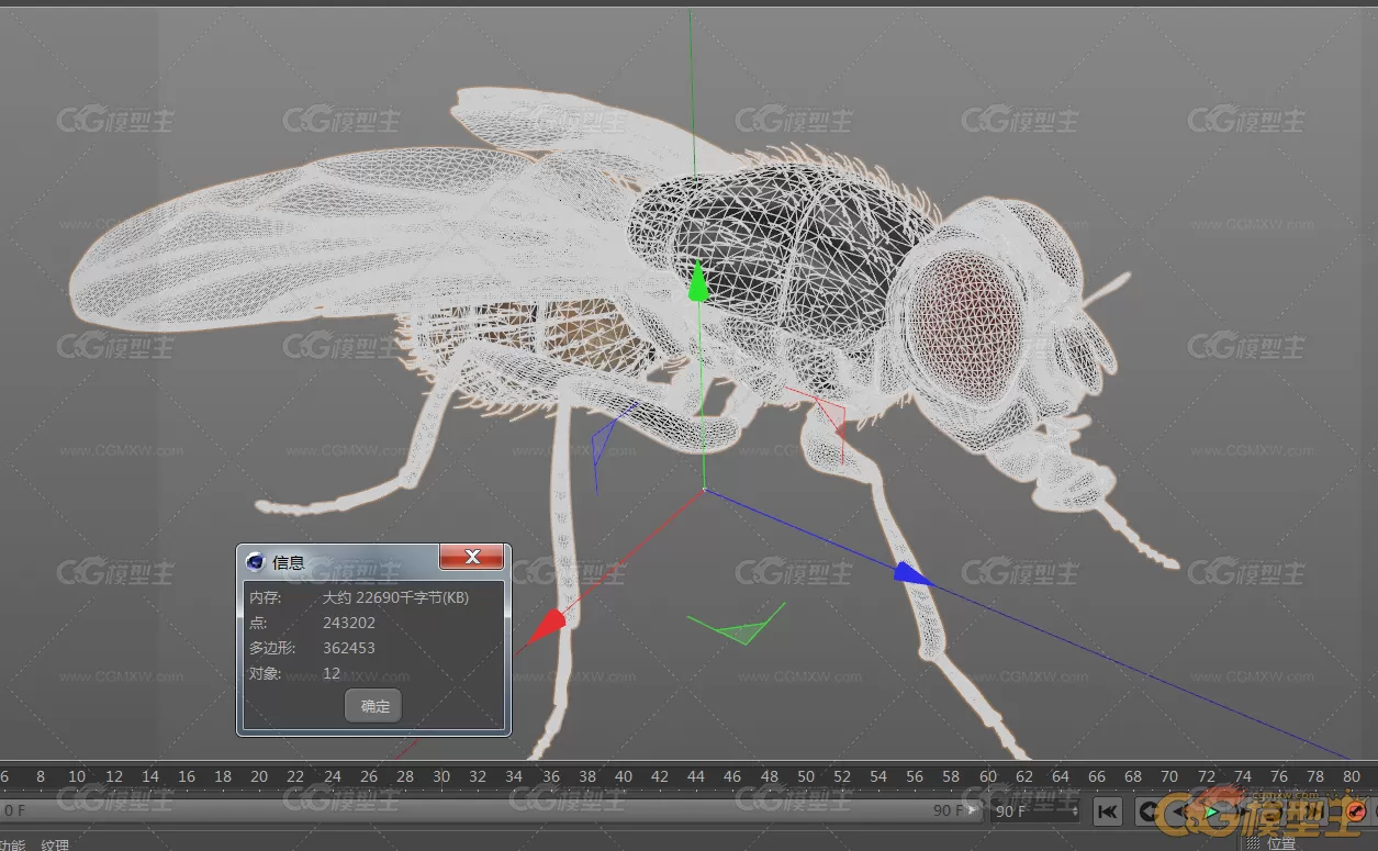 精细苍蝇3D模型-6