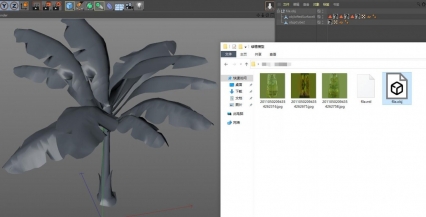 【3D模型】绿植 芭蕉叶 芭蕉树