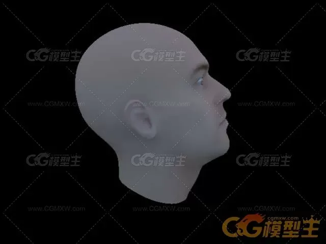 一个欧美欧洲中年男人人物头部maya模型下载！-3