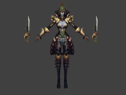 狮心骑士团刺客