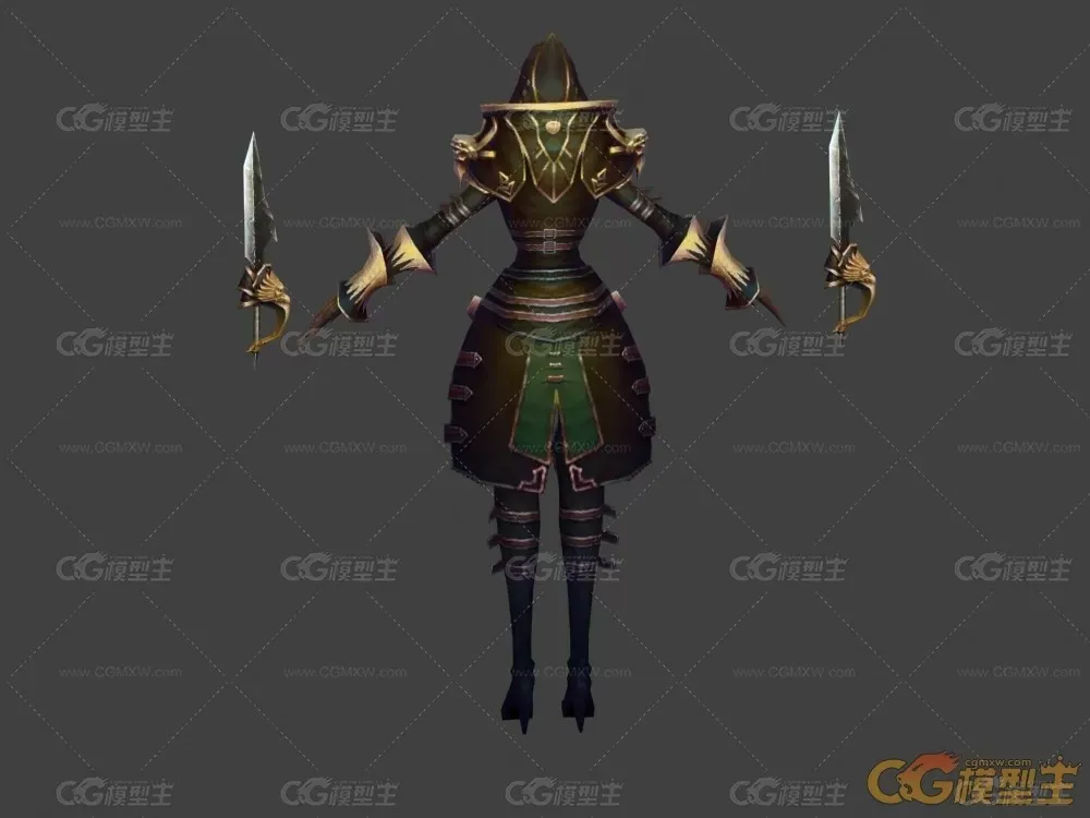 狮心骑士团刺客-4