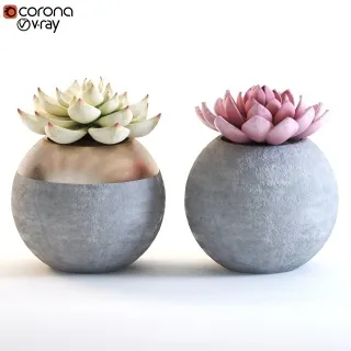 【3D模型】现代植物盆栽