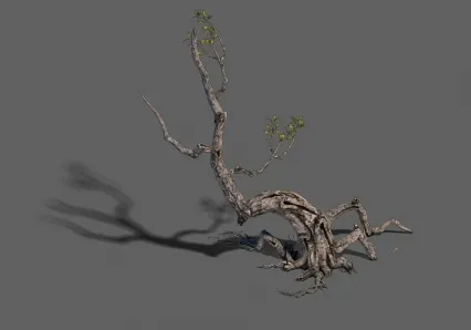 黑龙潭枯树
