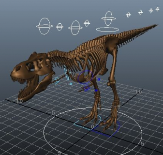 恐龙骨maya模型带绑定
