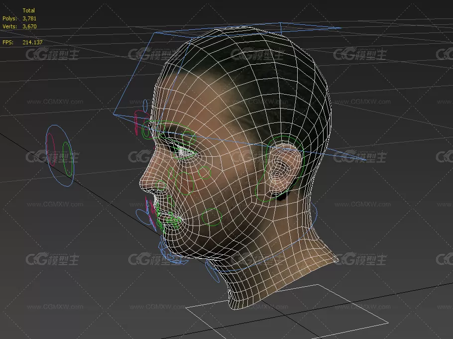 max自定义面部绑定参考男人头模型-3