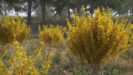 灌木丛3D模型MAX格式 VIZPARK – FORSYTHIA