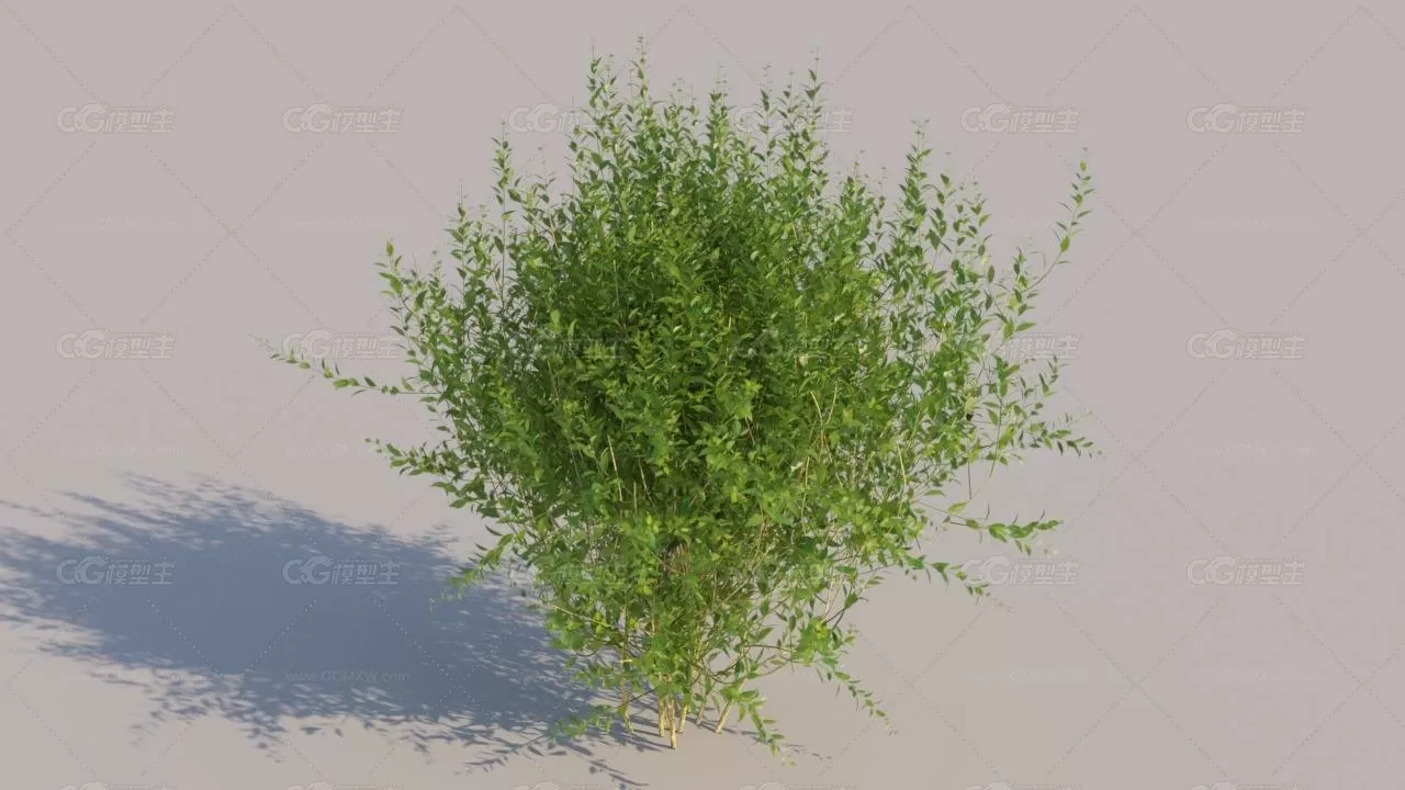 灌木丛3D模型MAX格式 VIZPARK – FORSYTHIA-3