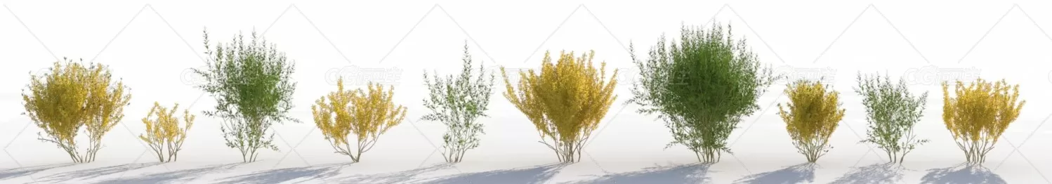 灌木丛3D模型MAX格式 VIZPARK – FORSYTHIA-6