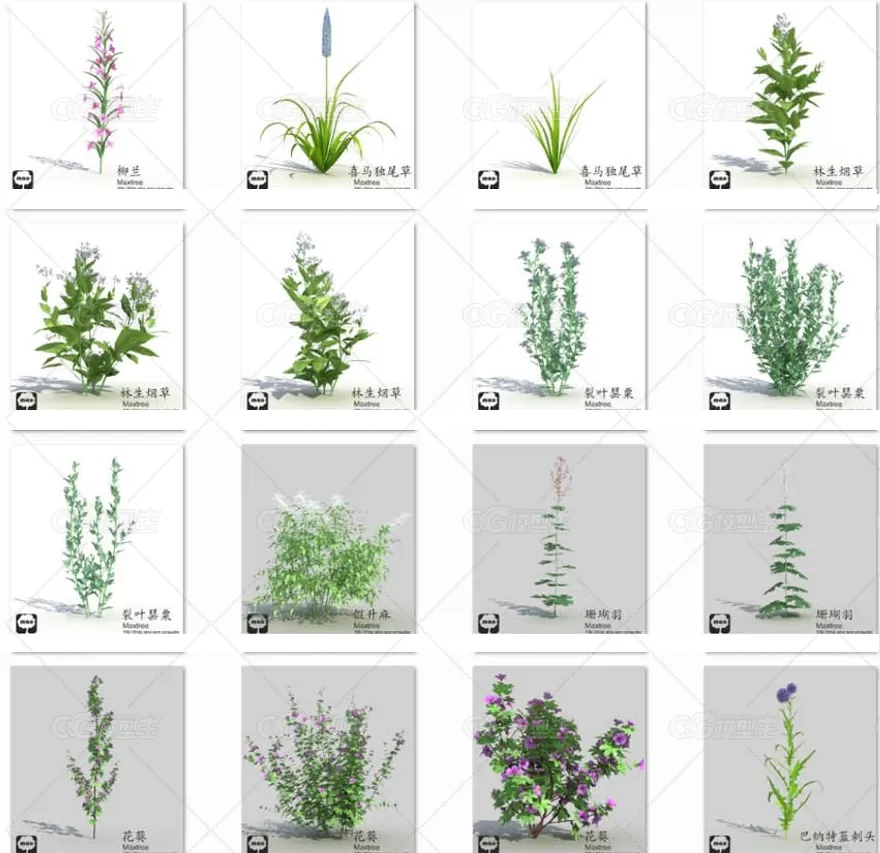 Maxtree 网站的植物和场景合集。-2
