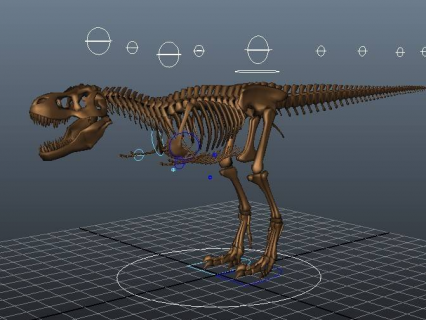 骨龙绑定maya模型下载！恐龙骨架maya模型下载！带骨骼绑定霸王龙骨骼骨架maya模型下载