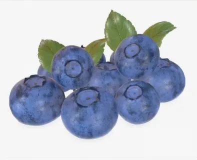 蓝莓