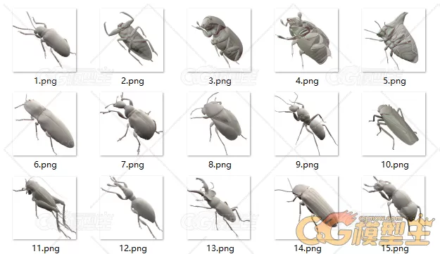 昆虫，虫子3d模型，包含15个虫子模型。-16