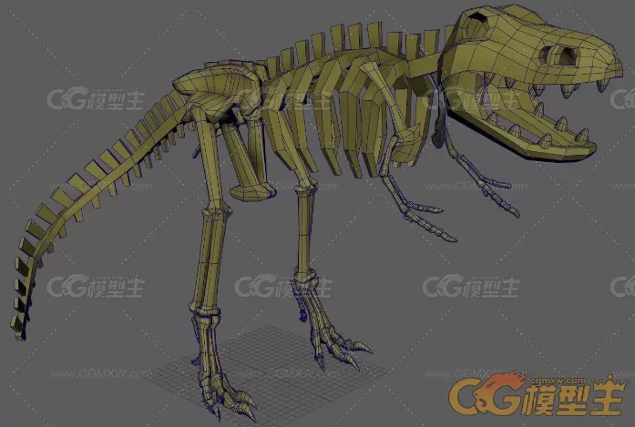 恐龙骨骼3D模型-2