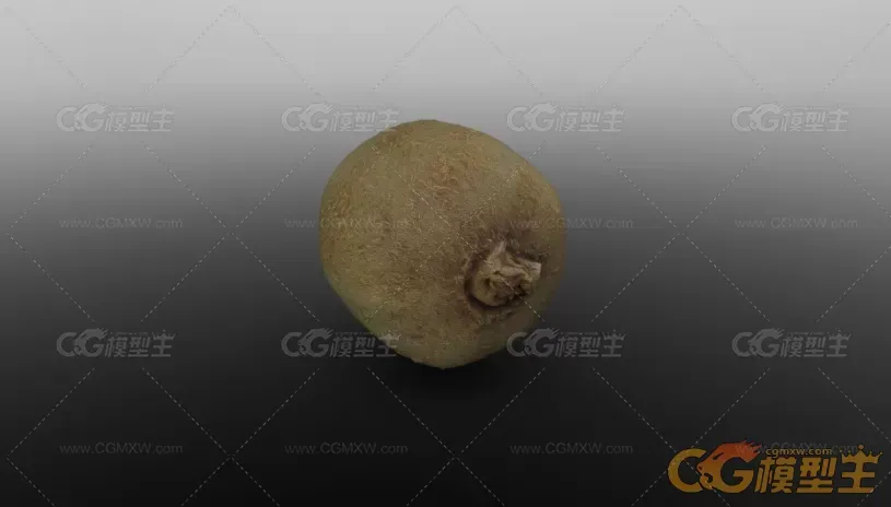 写实次时代材质猕猴桃，奇异果3D模型-4