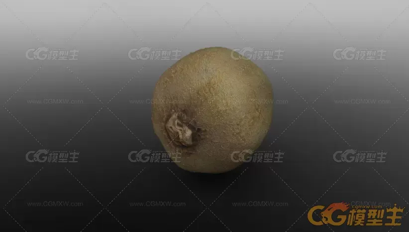 写实次时代材质猕猴桃，奇异果3D模型-6
