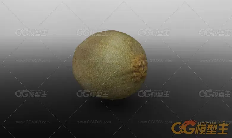 写实次时代材质猕猴桃，奇异果3D模型-9