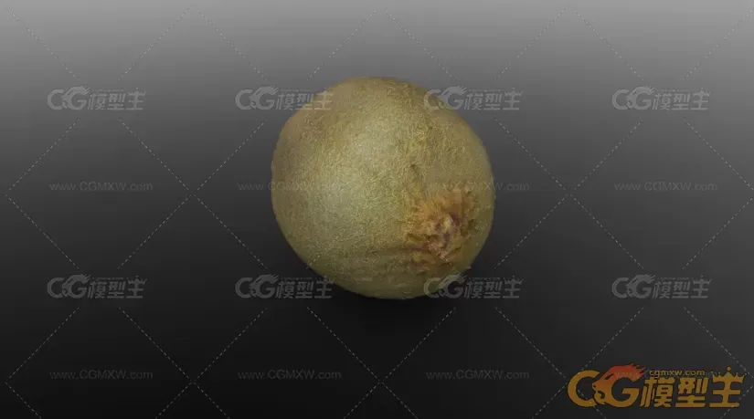 写实次时代材质猕猴桃，奇异果3D模型-10